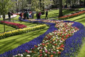 Keukenhof Lisse