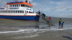 Robbenboot Ameland
