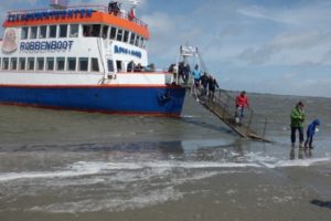 Robbenboot Ameland